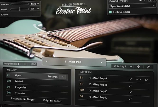 复古电吉他 Native Instruments Session Guitarist Electric Mint v1.1.0
