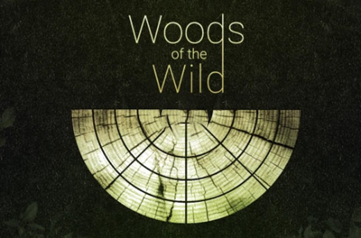 自动配乐木管音源 Best Service TO Woods Of The Wild