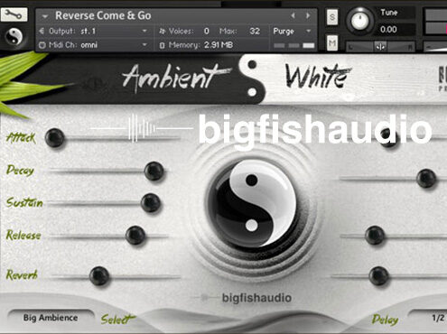 太极神韵氛围音色 Big Fish Audio Ambient White