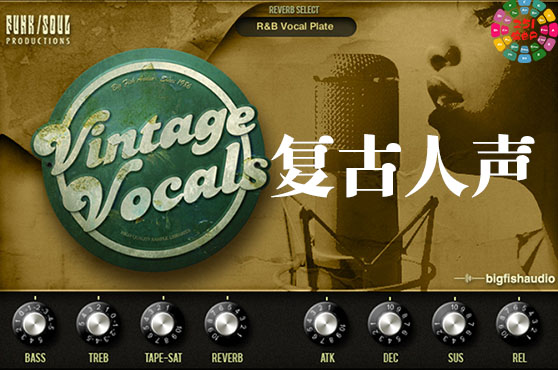 复古人声 Big Fish Audio Vintage Vocals 康泰克音源