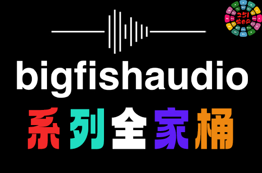Big Fish Audio 系列合集（全家桶）康泰克音色