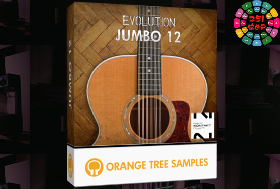 12弦原声大吉他 Orange Tree Samples Evolution Jumbo 12
