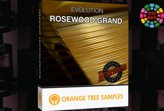 橘子树钢琴 Orange Tree Samples Evolution Rosewood Grand