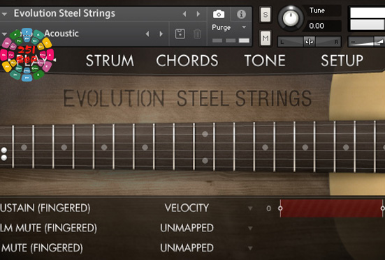 钢弦民谣吉他 Orange Tree Samples Evolution Steel Strings