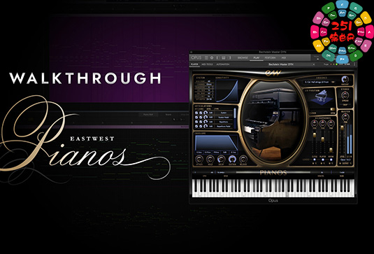 斯坦威大钢琴 East West Pianos Platinum Steinway D