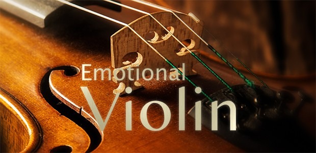 情感小提琴 Best Service Emotional Violin