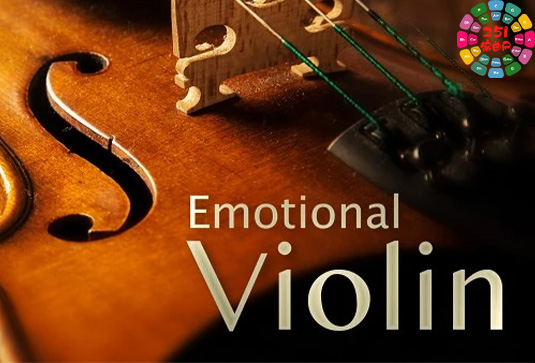 情感小提琴 Best Service Emotional Violin