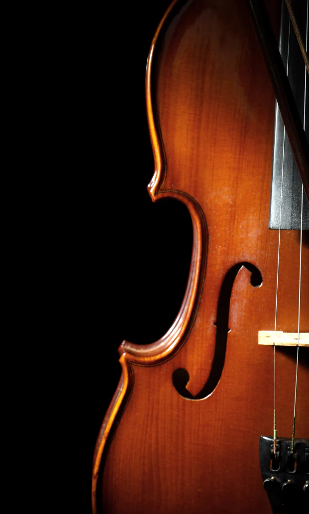 深情独奏小提琴 8Dio Studio Quartet Series Deep Solo Violin