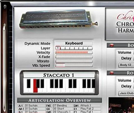 半音阶口琴 Best Service Chris Hein Chromatic Harmonica