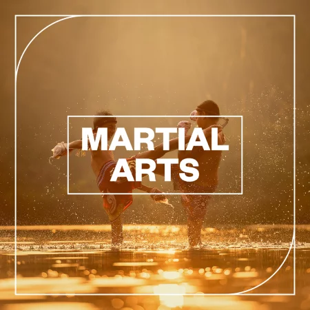 武打音效包 Blastwave FX Martial Arts WAV