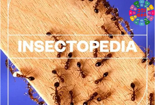 昆虫类音效包 Blastwave FX Insectopedia WAV