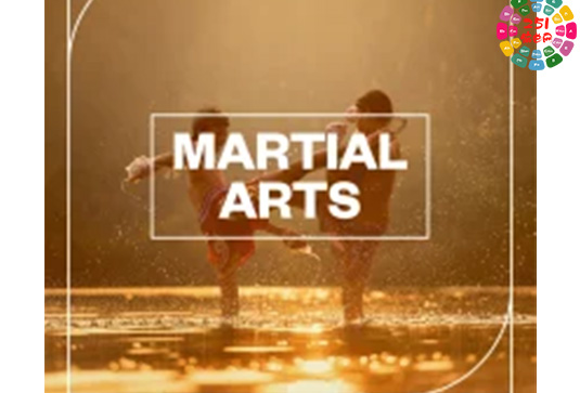 武打音效包 Blastwave FX Martial Arts WAV