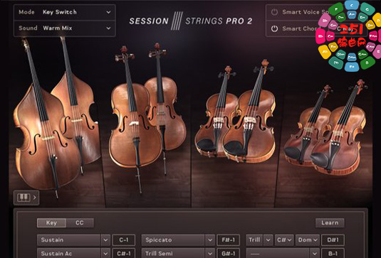 现代弦乐合奏音色 Native Instruments Session Strings Pro 2 v1.0.5