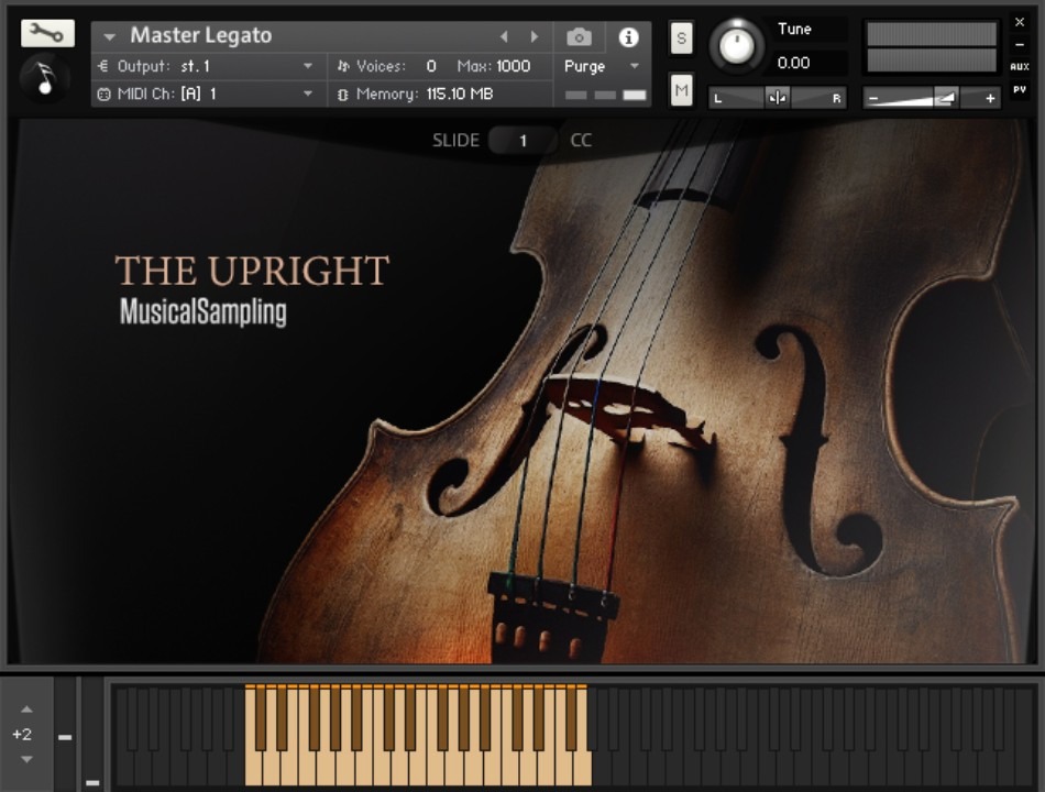 原声贝斯音色库 Musical Sampling The Upright