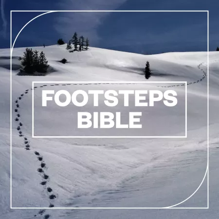 脚步声音效包 Blastwave FX Footsteps Bible WAV