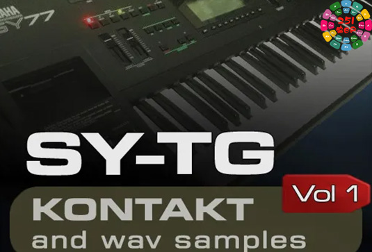 键盘合成器采样音色库 Amazound Samples SY-TG