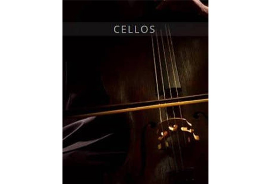 大提琴音源 Auddict United Strings of Europe Cellos