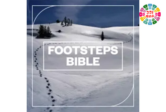 脚步声音效包 Blastwave FX Footsteps Bible WAV