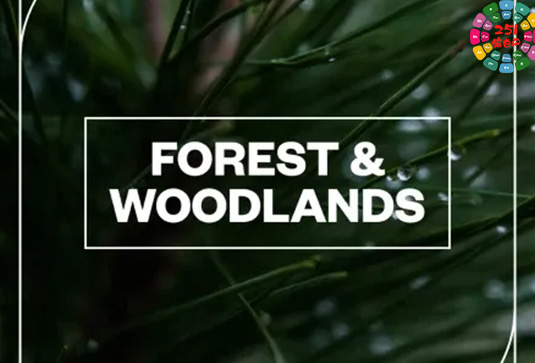 树林环境音效包 Blastwave FX Forest and Woodlands WAV