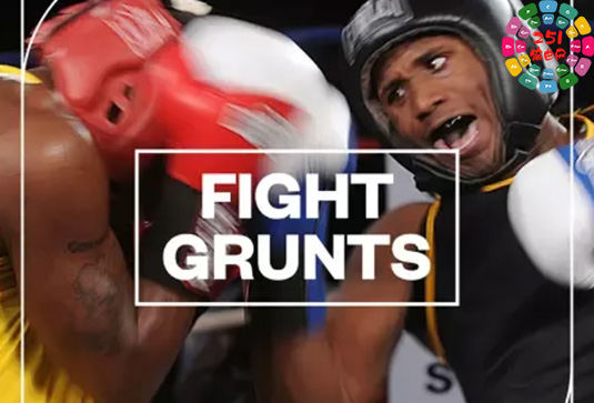 格斗拳击音效 Blastwave FX Fight Grunts WAV