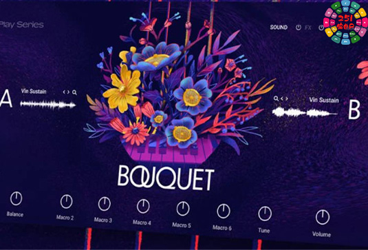 灵魂RnB音色库 Native Instruments Play Series Bouquet v1.0.0