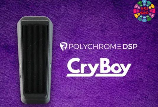 Wah音效果器 PolyChrome DSP Cry Boy v1.0 TCD Win