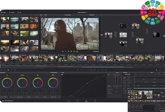 专业视频剪辑软件 Blackmagic Design DaVinci Resolve Studio v19.0.1 R2R Win