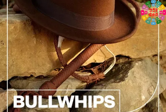 牛鞭音效 Blastwave FX Bullwhips WAV