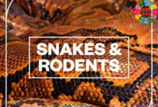 蛇和啮齿动物音效 Blastwave FX Snakes and Rodents WAV