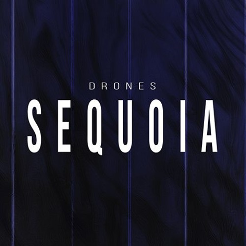 电影色彩氛围 Umlaut Audio Sequoia Wav