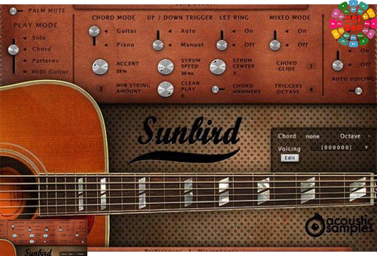 蜂鸟吉他 Acoustic Samples Sunbird for UVI Falcon （AcousticSamples）