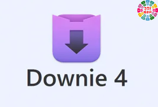 网站视频下载神器 Downie v4.8.4 MacOS