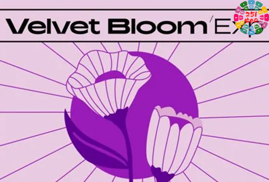 拓展音源包 Native Instruments Velvet Bloom MPC Expansion WAV XPN XPM