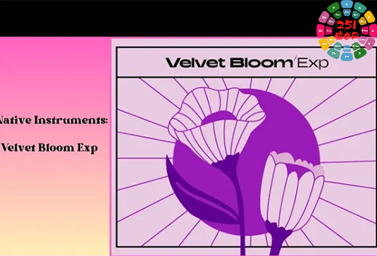拓展音色包 Native Instruments Velvet Bloom Maschine Expansion