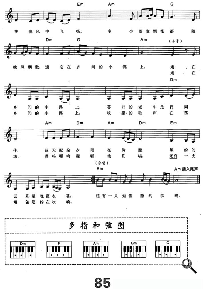 乡间的小路（电子琴弹唱谱）简谱 - 乐谱