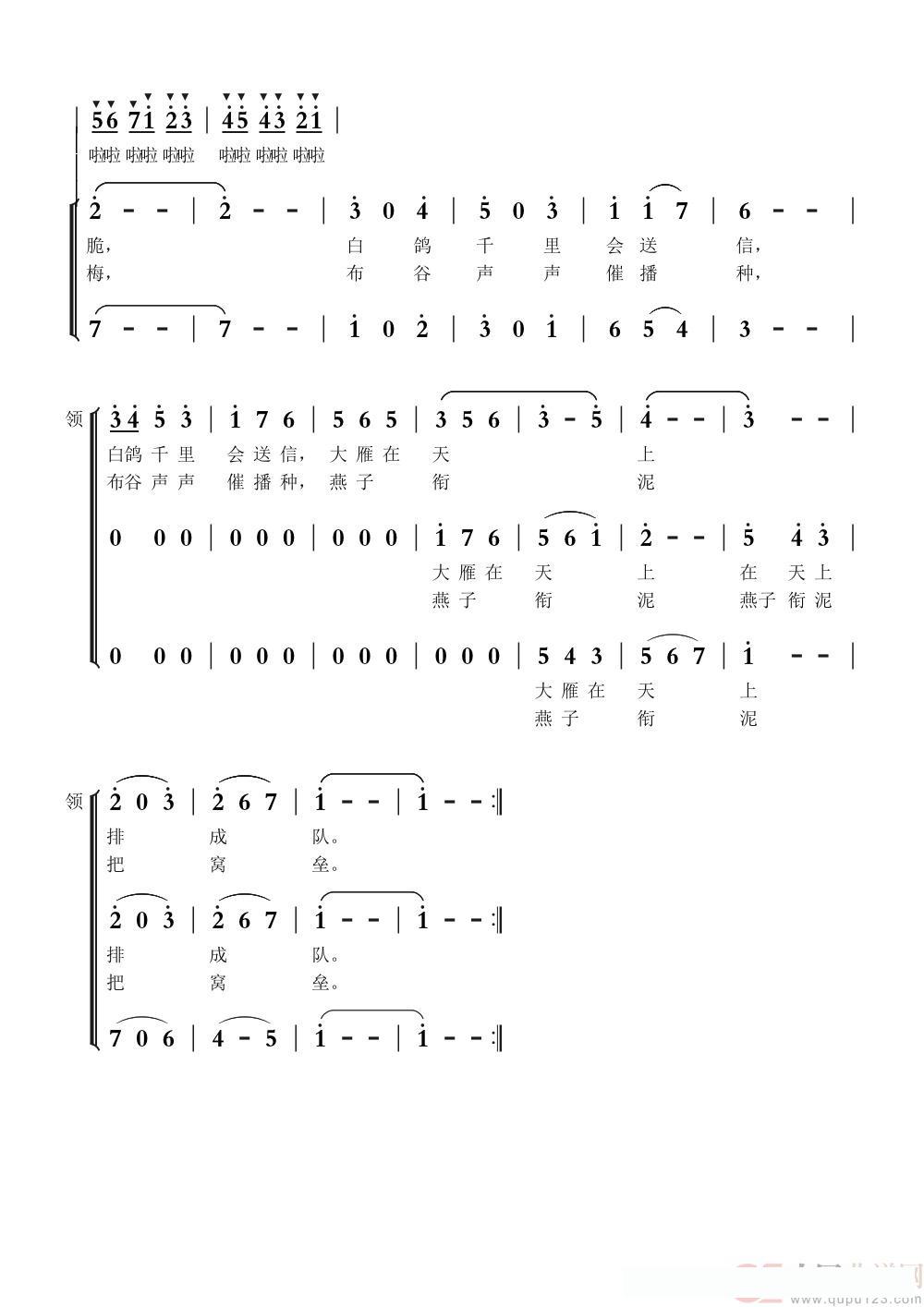 什么鸟（童声合唱）简谱 - 乐谱