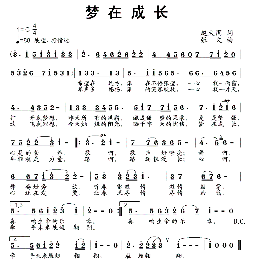 梦在成长（张文曲 赵大国词） - 乐谱