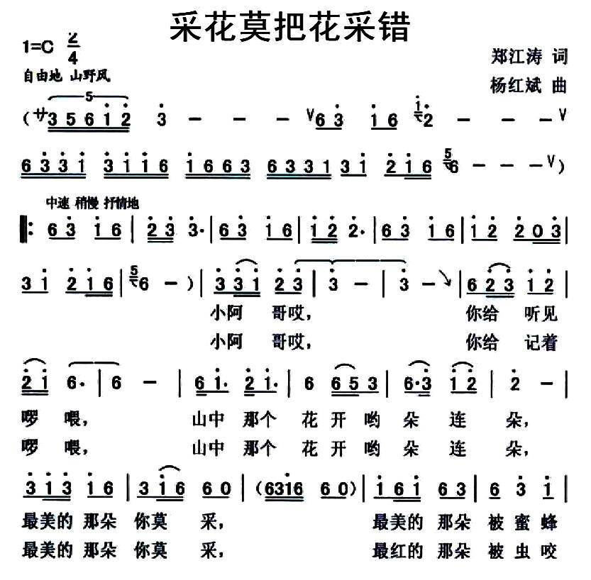 采花莫把花采错（杨红斌曲 郑江涛词） - 乐谱