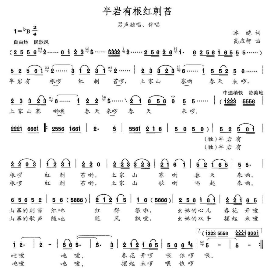 半岩有根红刺苔（男声独唱、伴唱） - 乐谱