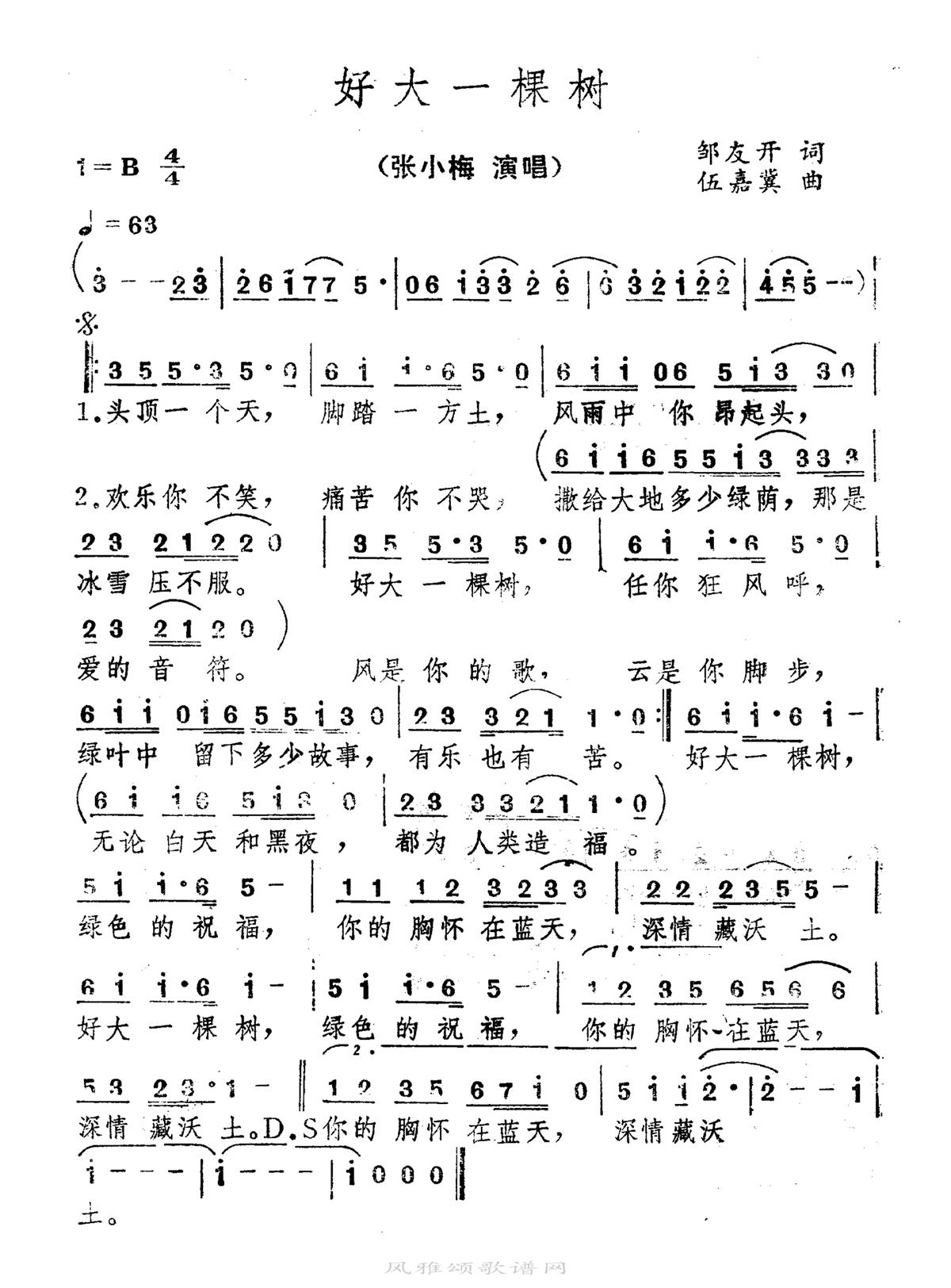 张小梅-好大一棵树