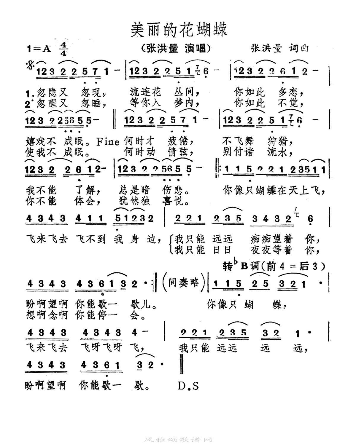 张洪量-美丽的花蝴蝶