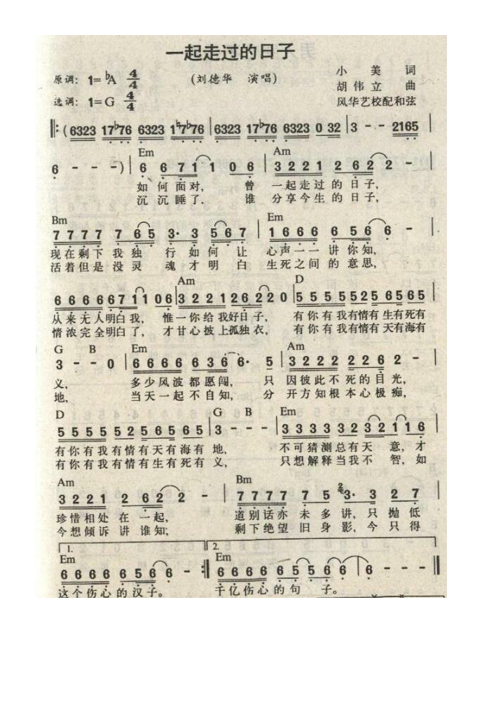 刘德华-一起走过的日子