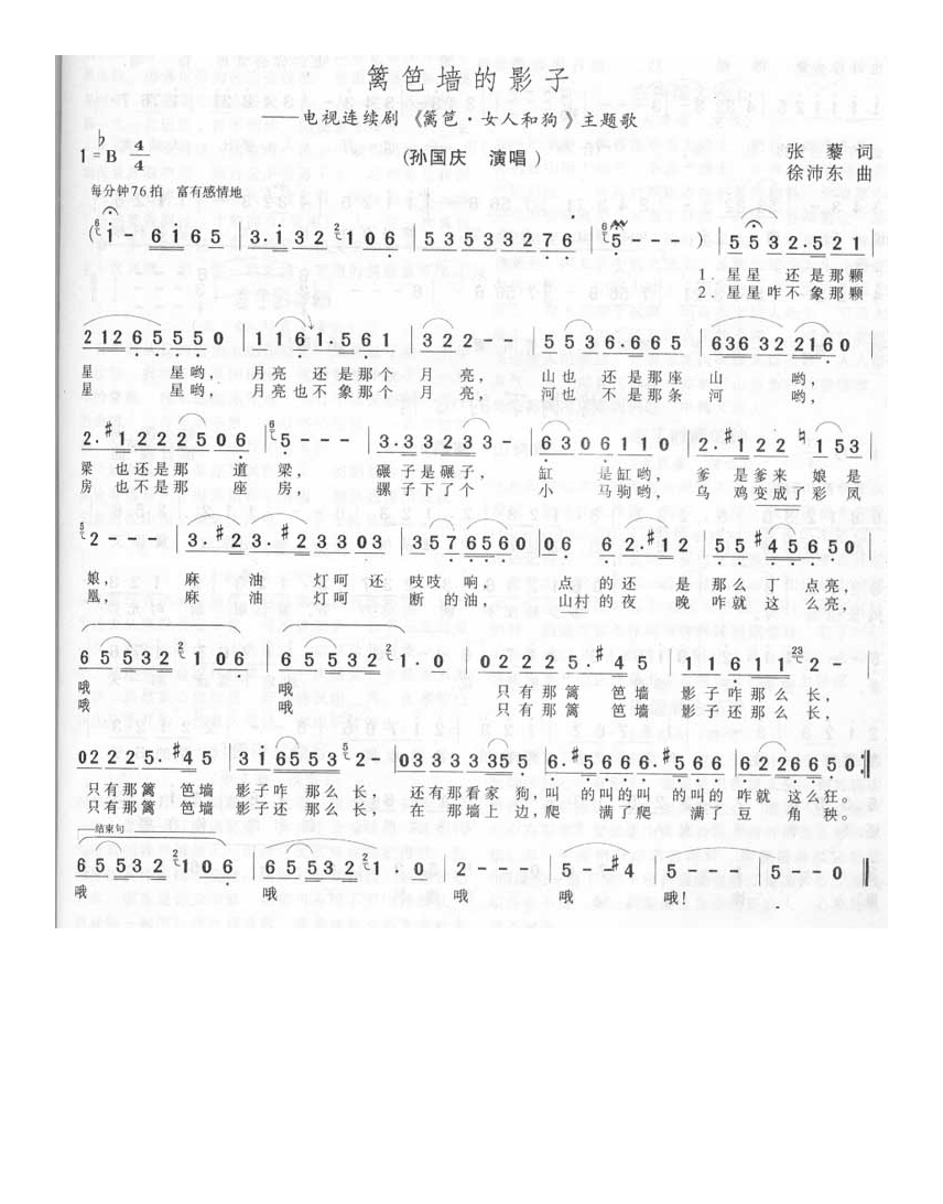 孙国庆-篱笆墙的影子