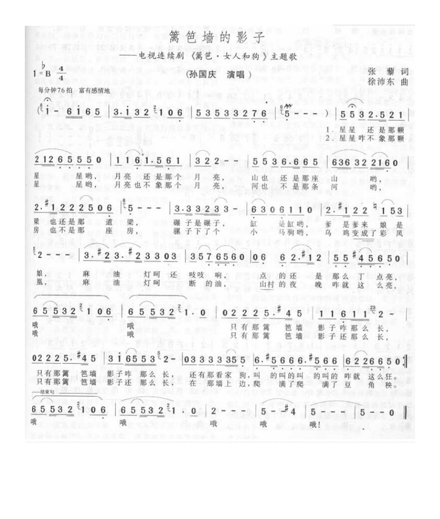 孙国庆-篱笆墙的影子1