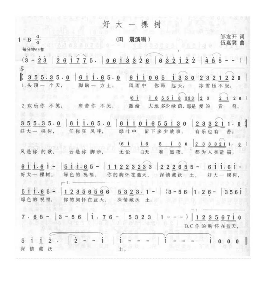 田震-好大一棵树