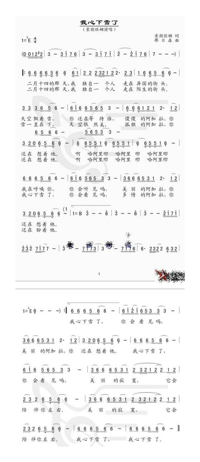 索朗旺姆-我心下雪了