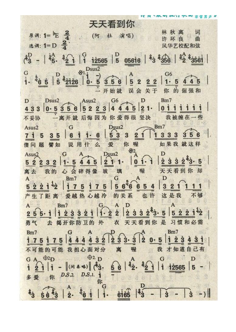 阿杜-天天看到你