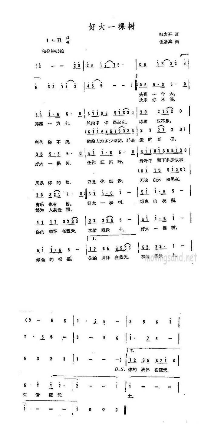 歌手-好大一棵树