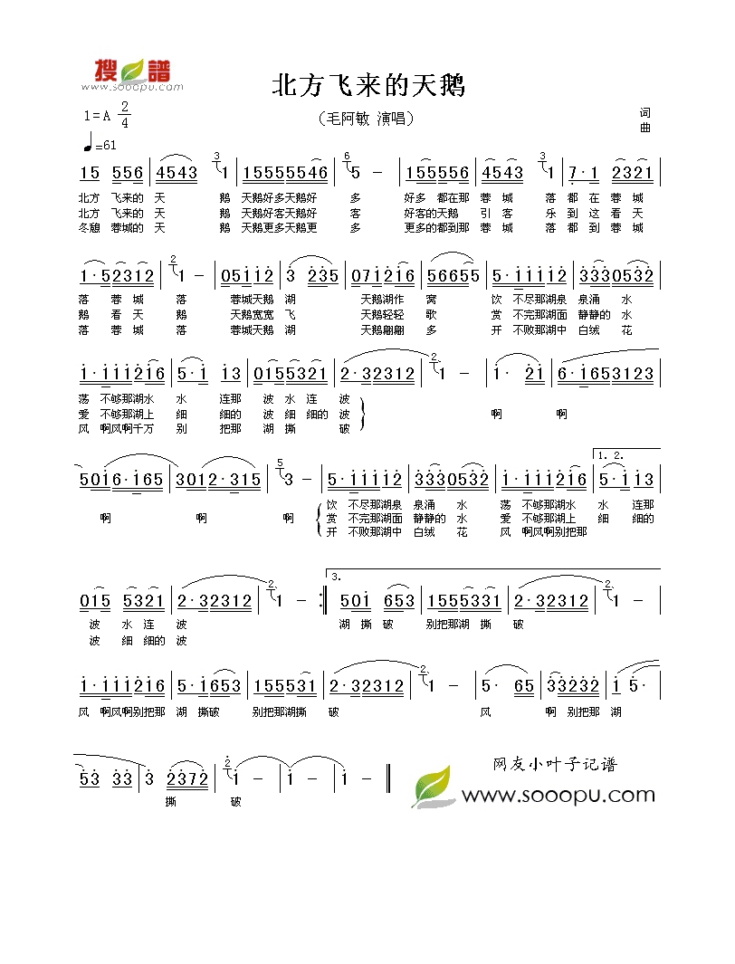 毛阿敏-北方飞来的天鹅