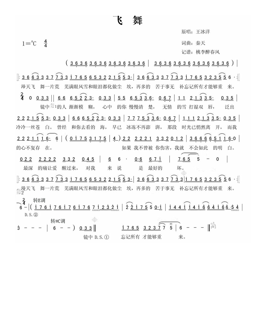 王冰洋-飞舞